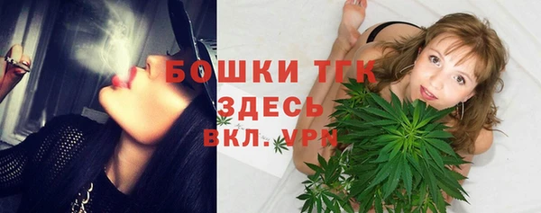 PSILOCYBIN Карпинск