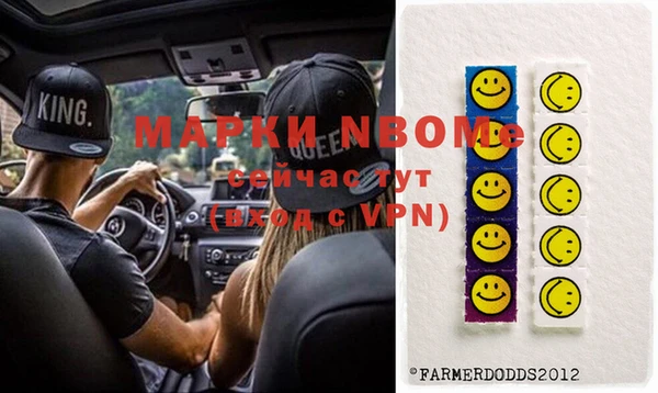 индика Карталы