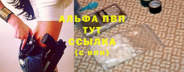 индика Карталы