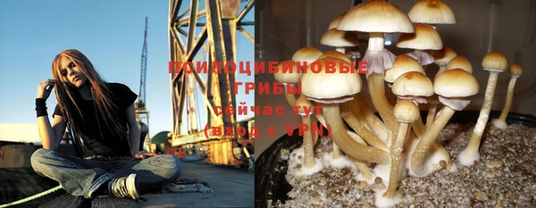 PSILOCYBIN Карпинск
