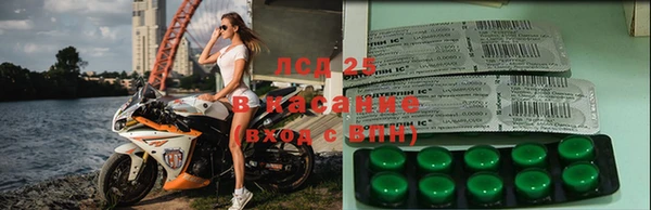 индика Карталы